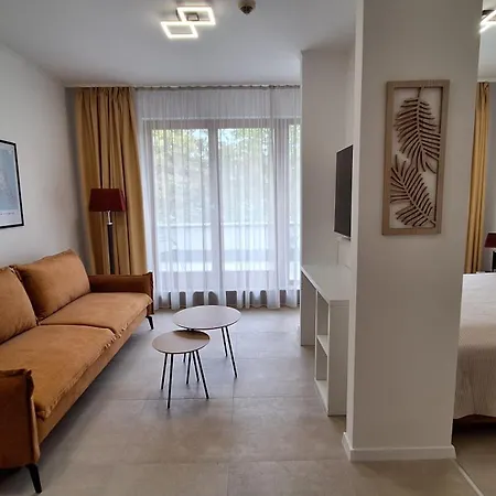 Laven Superior 公寓 巴拉顿菲赖德