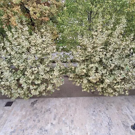 Апартаменты Laven Superior Балатонфюред