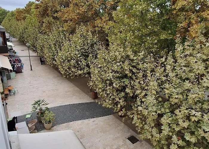 Laven Superior Apartment *